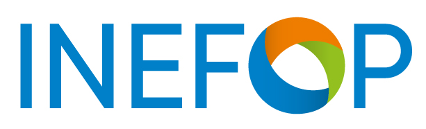 instituto-nacional-de-empleo-y-formacion-profesional